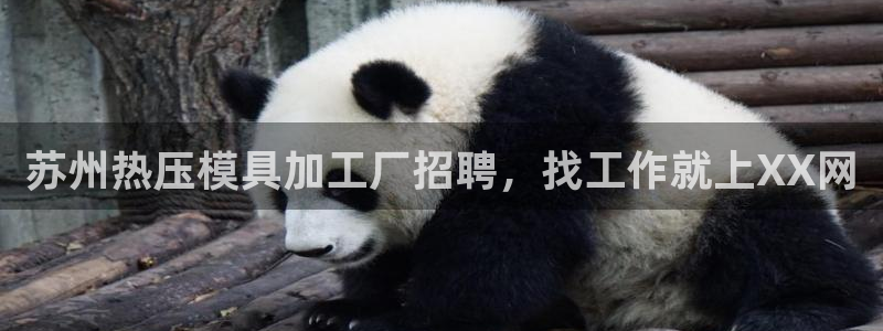 易倍单词官方网站下载