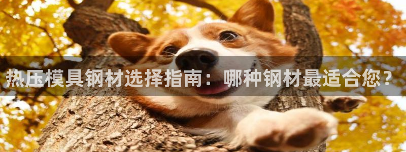 emc全站app下载