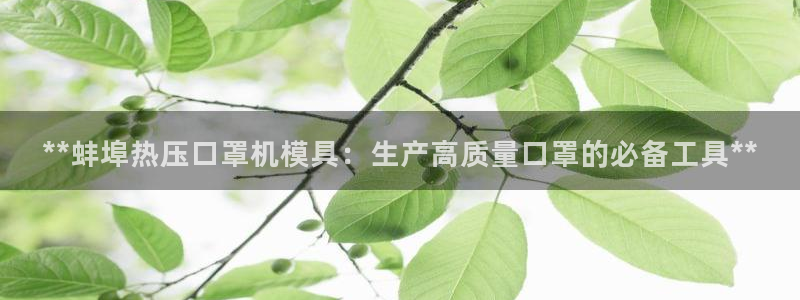 易倍电竞,有球必应：**蚌埠热压口罩机模具：生产高质量口