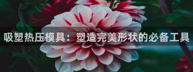 易倍申价格是多少