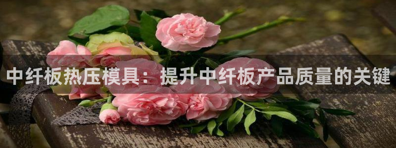 emc易倍登录
