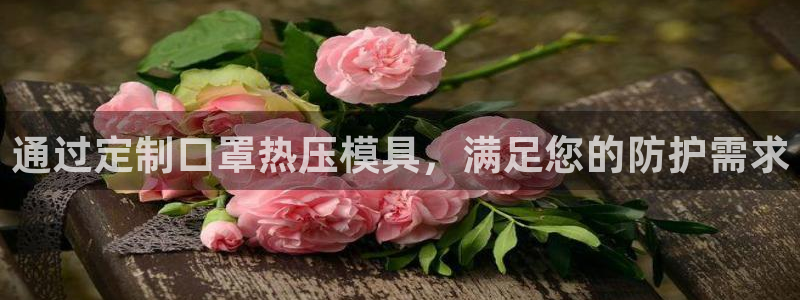 易倍纤怎么使用：通过定制口罩热压模具，满足您的防护需求