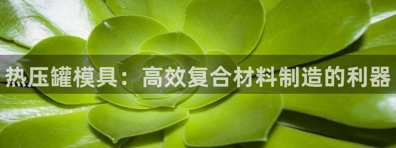 易倍单词官方网站登录
