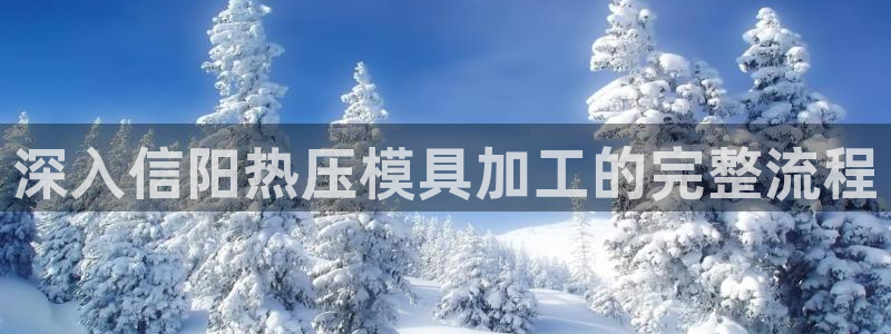 易倍申多少钱