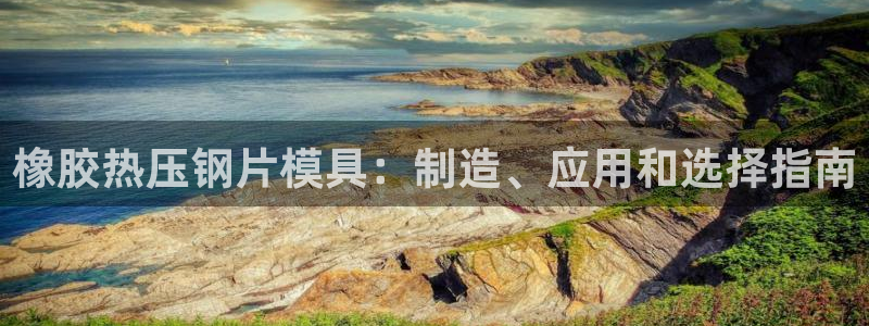 emcbet全站：橡胶热压钢片模具：制造、应用和选择指南
