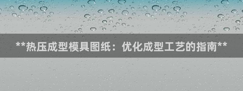 易倍单词官方网站的：**热压成型模具图纸：优化成型工艺的