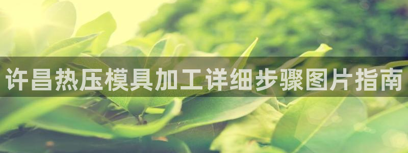 emc易贝体育怎么样：许昌热压模具加工详细步骤图片指南