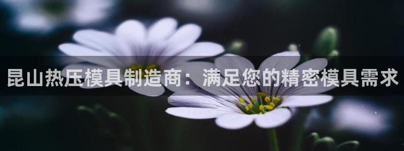 南京易倍易电子科技有限公司：昆山热压模具制造商：满足您的