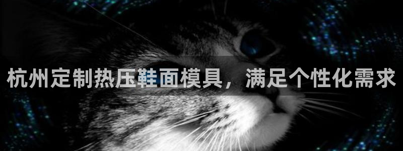 emc32软件