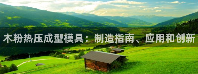 易倍纤酵素效果好吗