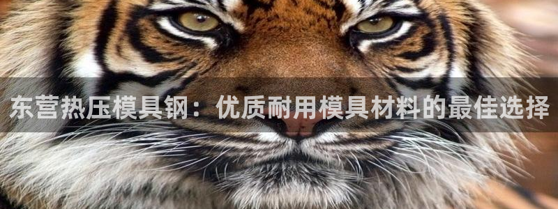 emc倍频干扰怎么解决：东营热压模具钢：优质耐用模具材料
