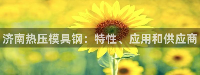 易倍申上市时间
