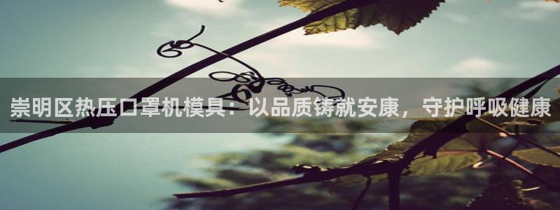易倍网络技术有限公司招聘：崇明区热压口罩机模具：以品质铸