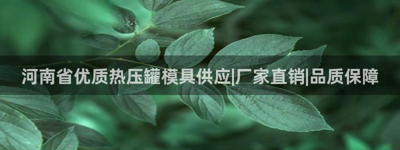 易倍易倍单词官方网站：河南省优质热压罐模具供应|厂家直销