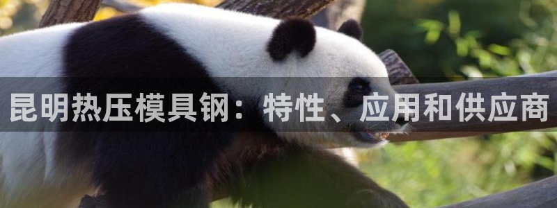 emc易赔：昆明热压模具钢：特性、应用和供应商