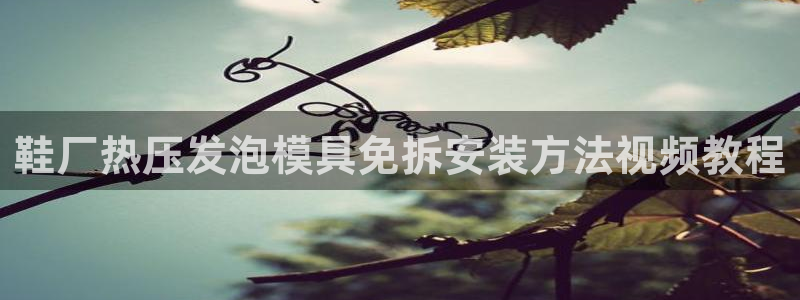 易倍达科技有限公司代运营
