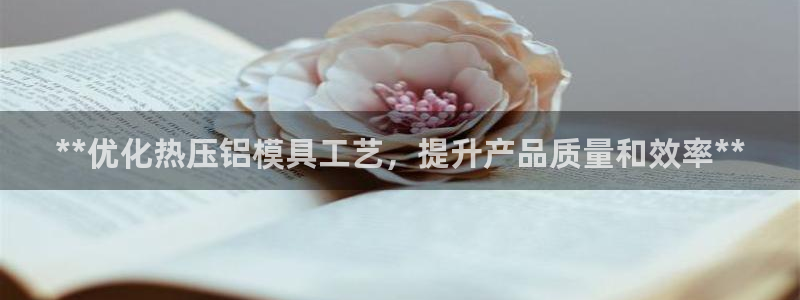 emc易倍官网登录首页：**优化热压铝模具工艺，提升产品