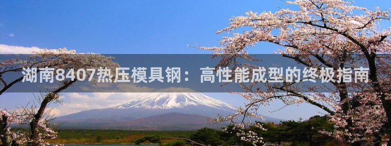 易倍单词官网下载：湖南8407热压模具钢：高性能成型的终
