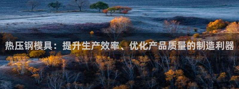 emc mcu：热压钢模具：提升生产效率、优化产品质量的