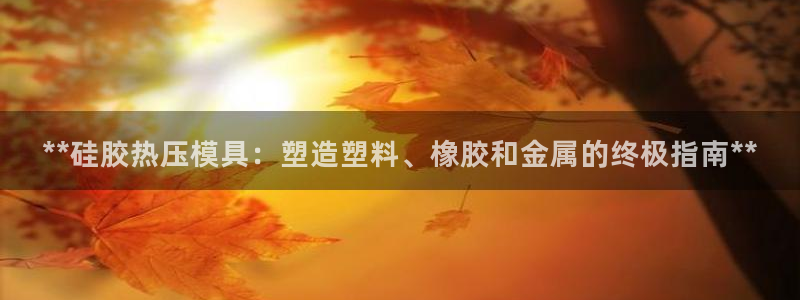 易倍申多少钱一盒：**硅胶热压模具：塑造塑料、橡胶和金属