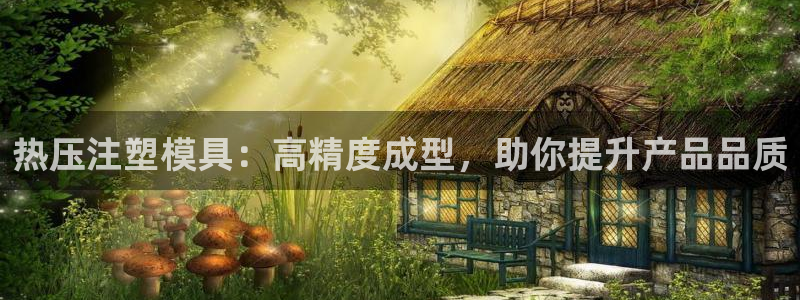 易倍申医保报销：热压注塑模具：高精度成型，助你提升产品品