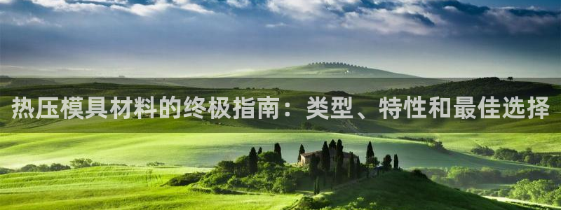 易倍单词app官网：热压模具材料的终极指南：类型、特性和