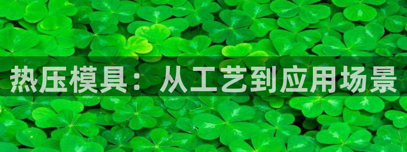 易倍思机电制造(上海)有限公司：热压模具：从工艺到应用场