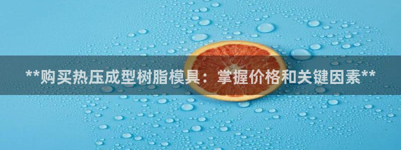 易倍易趣网：**购买热压成型树脂模具：掌握价格和关键因素