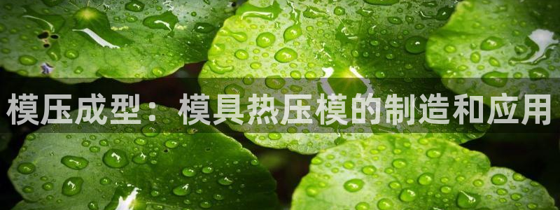 emc下载