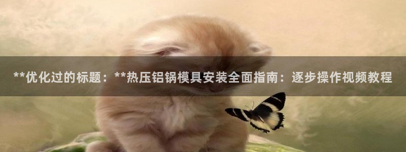 易倍申怎么样：**优化过的标题：**热压铝锅模具安装全面