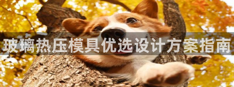 易倍网络技术有限公司招聘