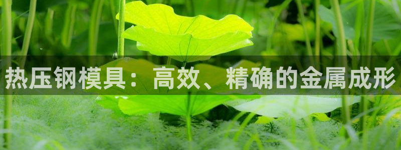 易倍申在中国成功上市：热压钢模具：高效、精确的金属成形