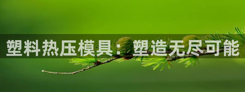 易倍申片：塑料热压模具：塑造无尽可能