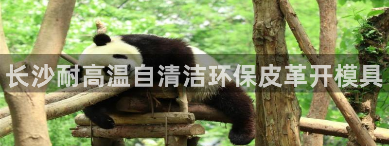 易倍申片能长期服用吗