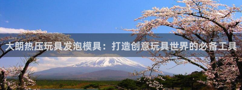 易倍申价格是多少