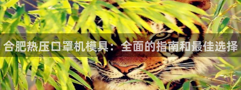 emc易倍首存500送球衣：合肥热压口罩机模具：全面的指