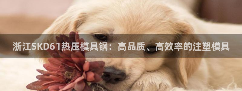 易倍单词app官网