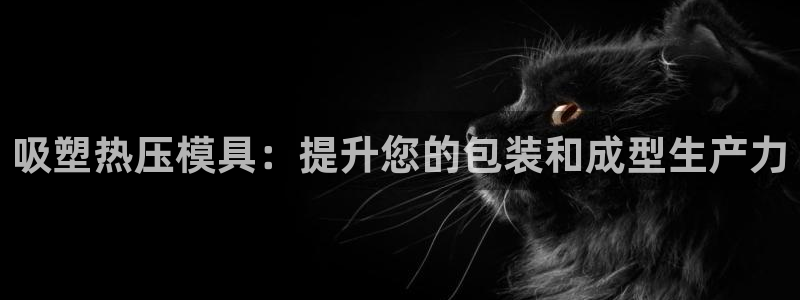 emc全站易倍：吸塑热压模具：提升您的包装和成型生产力
