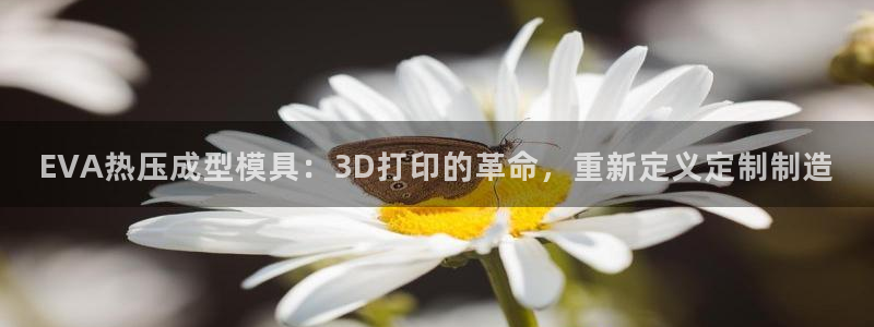emc低频