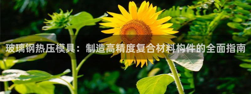 易倍申片：玻璃钢热压模具：制造高精度复合材料构件的全面指