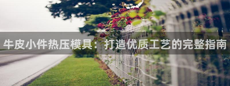北京易倍思教育科技有限公司：牛皮小件热压模具：打造优质工