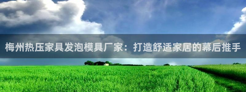 易倍申片说明书