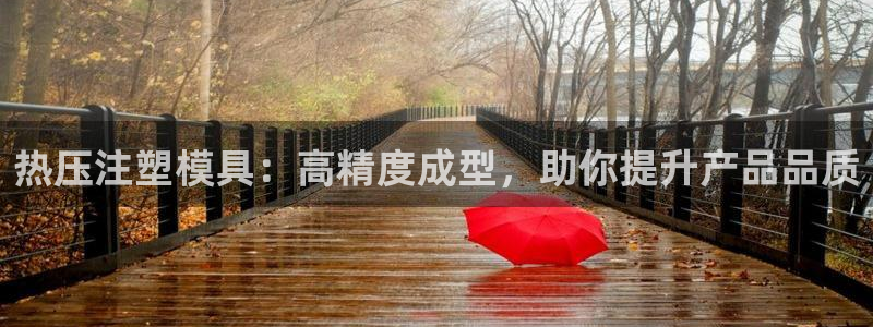 易倍申多少钱：热压注塑模具：高精度成型，助你提升产品品质