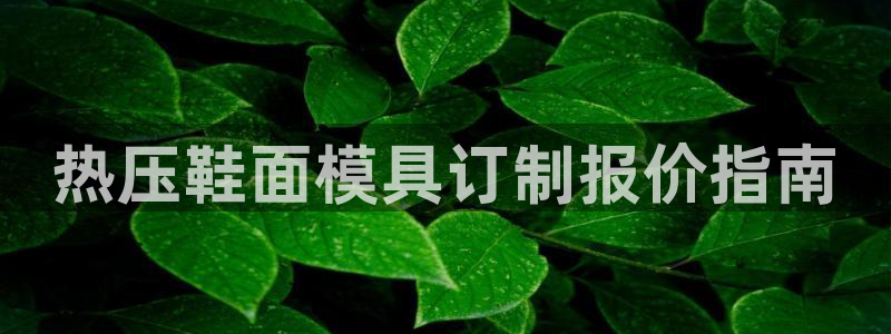 emc全站网页版