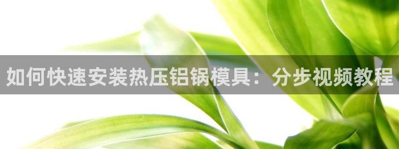 emc全站ag：如何快速安装热压铝锅模具：分步视频教程
