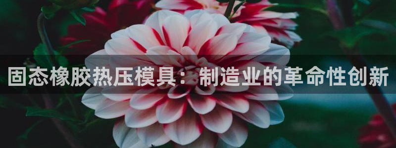 emc易倍官方下载：固态橡胶热压模具：制造业的革命性创新