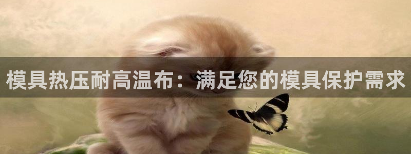 易倍app网站