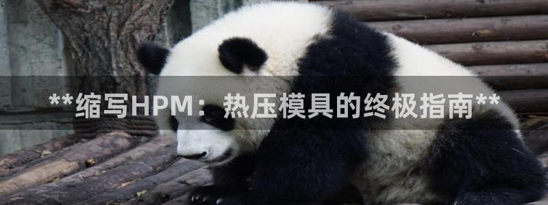 易倍单词平台：**缩写HPM：热压模具的终极指南**