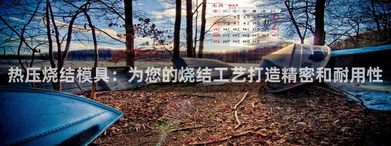 emc全站app下载：热压烧结模具：为您的烧结工艺打造精