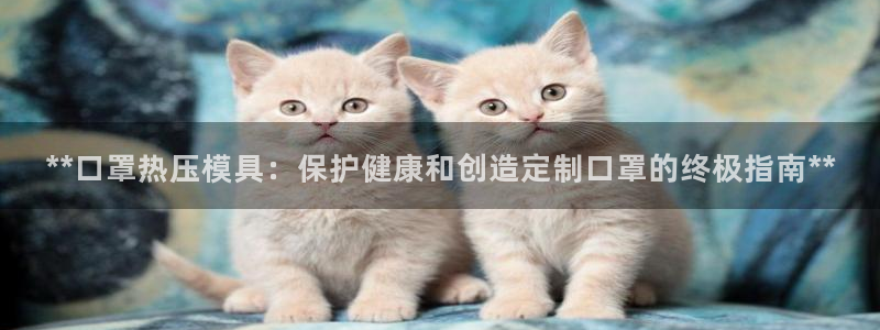 易倍申怎么样：**口罩热压模具：保护健康和创造定制口罩的